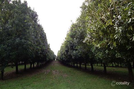 1 Robb St, Alstonville, NSW 2477