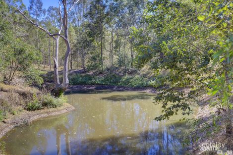 Property photo of 307 Eel Creek Road Pie Creek QLD 4570