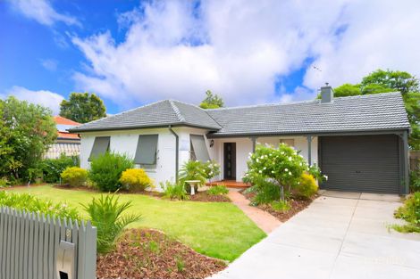 81 Pine Ave, Glenelg North, SA 5045