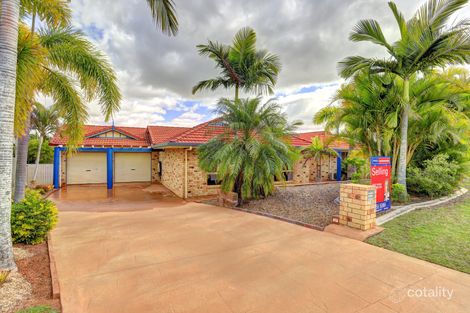 Property photo of 15 Reynella Drive Avoca QLD 4670