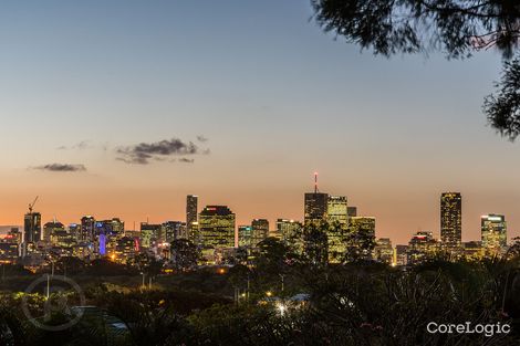 Property photo of 14 Dickens Street Norman Park QLD 4170