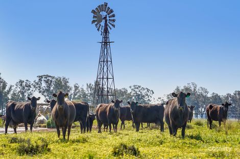 39l Coolbaggie Rd, Terramungamine, NSW 2830