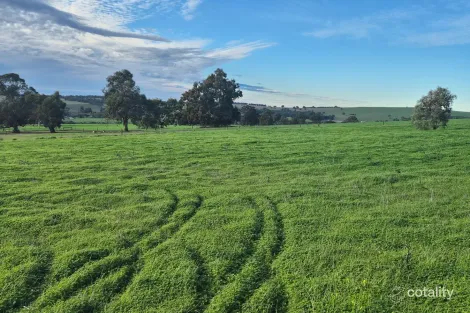 Property photo of 79 Starbush Way Ginginup WA 6503