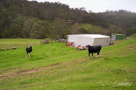 177 Little Careys Trl, Candelo, NSW 2550