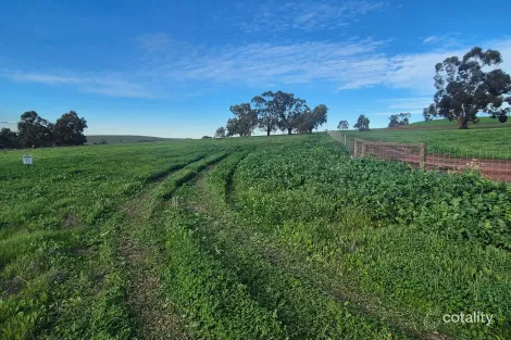 Property photo of 79 Starbush Way Ginginup WA 6503