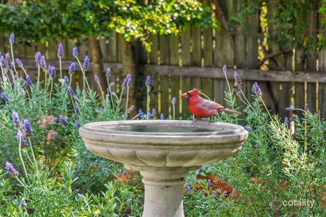 Property photo of 14/184 Trouts Road Stafford Heights QLD 4053