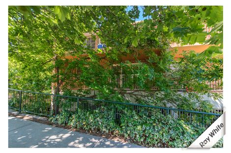 Property photo of 31/1 Waddell Place Curtin ACT 2605