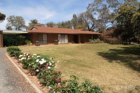 Property photo of 101 Pawson Avenue Red Cliffs VIC 3496