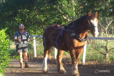 1312 Bucca Rd, Bucca, QLD 4670