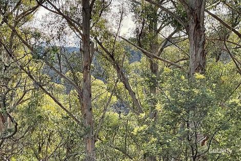 83 Crouchs Hill Rd, Lucaston, TAS 7109