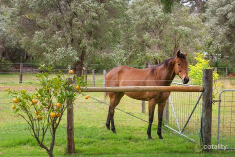 64 Baker Cl, Augusta, WA 6290