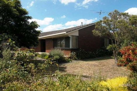 56 Davis St, Belmont, VIC 3216