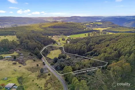 Property photo of 549 Cradle Mountain Road Erriba TAS 7310