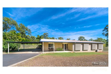 Property photo of 115 Bunya Road Rockyview QLD 4701