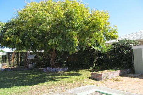 Property photo of 63 Cotterill Avenue Bongaree QLD 4507