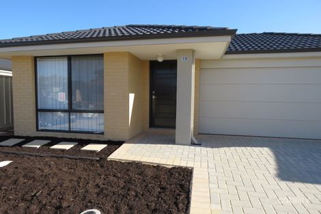 19 Birch Rd, Aubin Grove, WA 6164