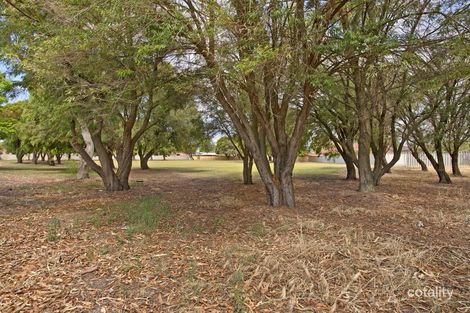 Property photo of 17 Birkdale Court Cooloongup WA 6168