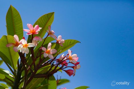 Property photo of 90B Coolawin Circle Narara NSW 2250