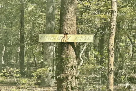 Property photo of 289 Mount Mulgowie Road Buaraba QLD 4311