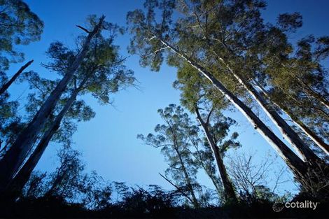 Property photo of 36 Illawong Drive Donvale VIC 3111