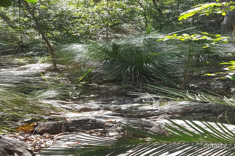 66 Johansens Rd, Calen, QLD 4798