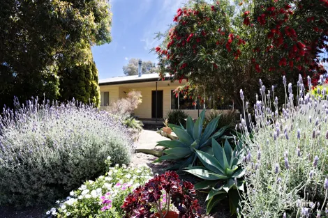 Property photo of 68 Investigator Avenue Kingscote SA 5223