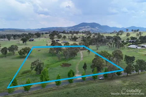 69 Sunnyside Loop Rd, Tenterfield, NSW 2372