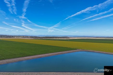 530 Warrah Ridge Rd, Quirindi, NSW 2343