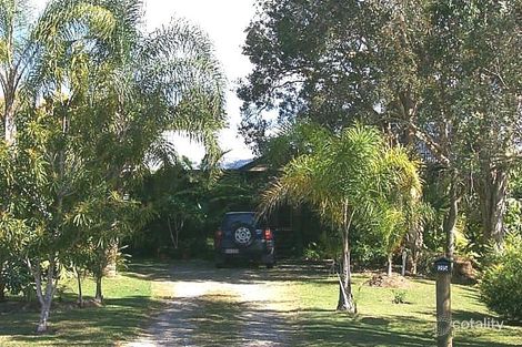 Property photo of 25 Cloudsley Street Noosaville QLD 4566