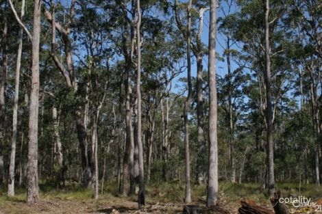 40 Serendipity Rd, Tabbimoble, NSW 2472