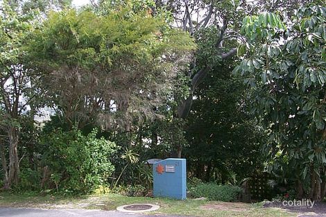 Property photo of 41 Cormorant Crescent Peregian Beach QLD 4573