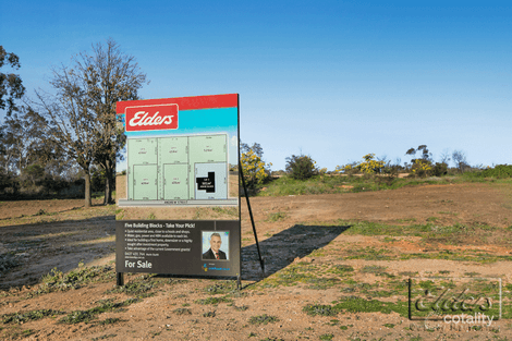 Property photo of 56 Andrew Street White Hills VIC 3550