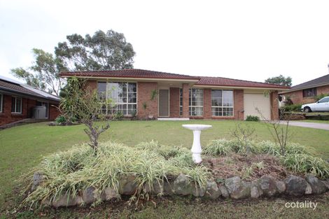 Property photo of 38 Lachlan Avenue Singleton Heights NSW 2330