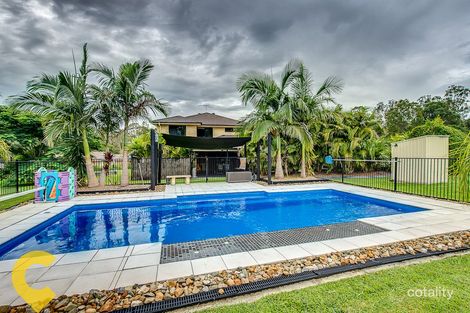 Property photo of 43 Bunya Court Cedar Vale QLD 4285