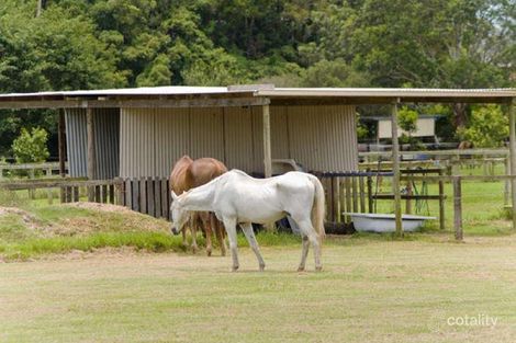 Property photo of 80 Valley Drive Tallebudgera QLD 4228