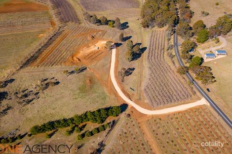 808 Canobolas Rd, Canobolas, NSW 2800