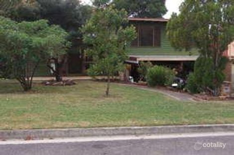 12 Oakwood Tce, Palm Beach, QLD 4221