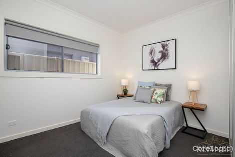 Property photo of 58A Angus Avenue Edwardstown SA 5039