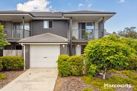Property photo of 34/9 Brushwood Court Mango Hill QLD 4509