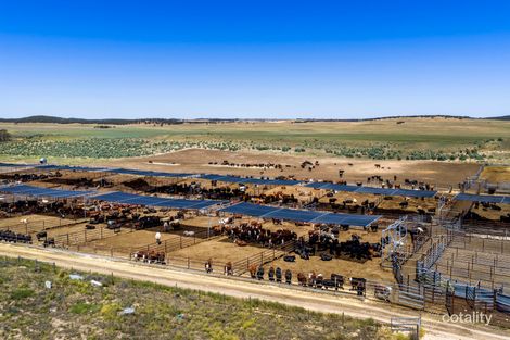 1156 Parrakie North Rd, Lameroo, SA 5302