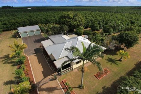 Property photo of 618 Moore Park Road Welcome Creek QLD 4670