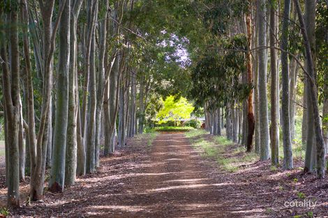 Property photo of 77 Johnson Road Wilyabrup WA 6280