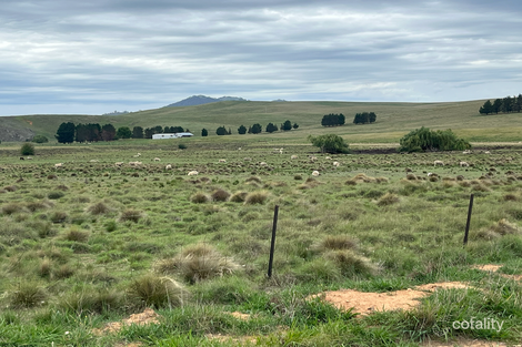 25 Karinya Plains Rd, Michelago, NSW 2620