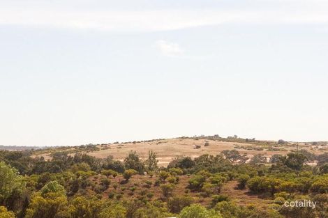 Property photo of 595 Murray Street Caloote SA 5254