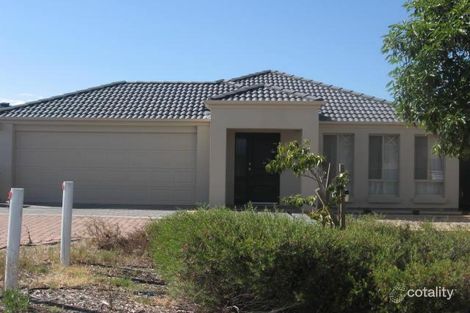 19 Mckinlay Ave, Gilles Plains, SA 5086