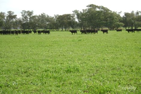 212 Binda Rd, Gooloogong, NSW 2805