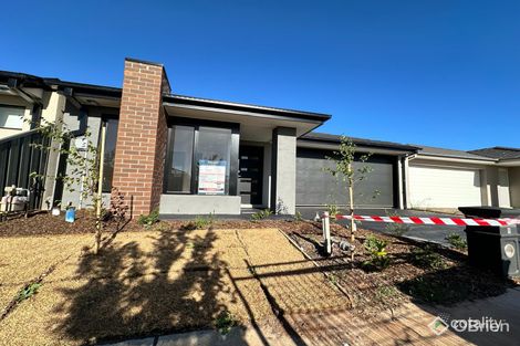 9 Protea Lane, Cobblebank, VIC 3338
