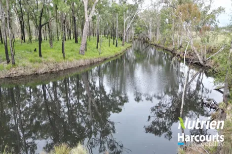2138 Burra Burri Creek Rd, Pelican, QLD 4413