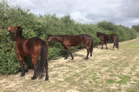 344 Badgin Rd, Greenhills, WA 6302