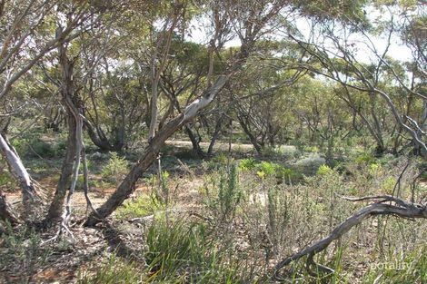 Lot 328 Mckay Rd, Glossop, SA 5344